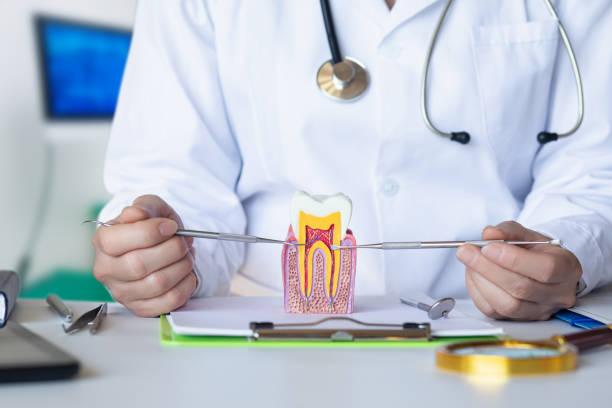 Best Emergency Treatment for Dental Infections or Abscesses in Saugatuck, CT